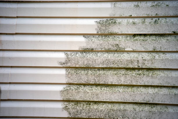  Lambertville, NJ Siding Installation Pros