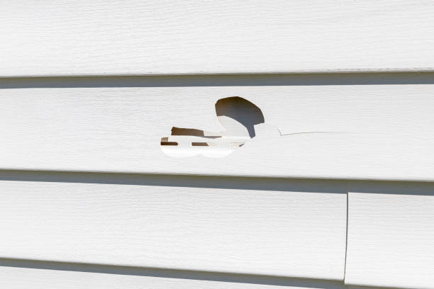 Best Fiber Cement Siding Installation  in Lambertville, NJ