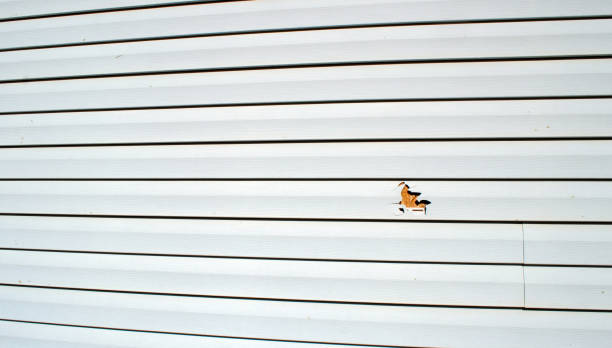 Best Engineered Wood Siding  in Lambertville, NJ
