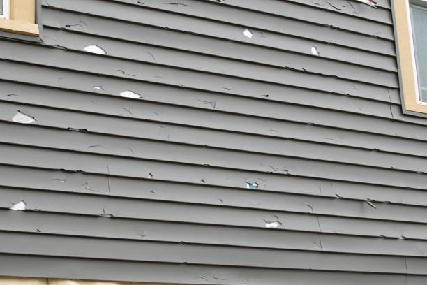 Best Residential Vinyl Siding Installation  in Lambertville, NJ